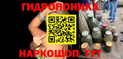 шишки Партизанск