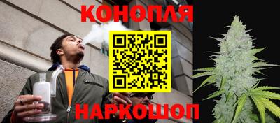 шишки Партизанск