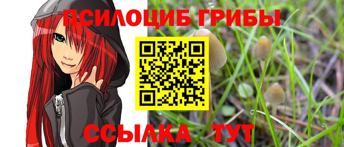 Псилоцибиновые грибы Magic Shrooms  Вход с VPN  Псилоцибиновые грибы MAGIC MUSHROOMS  Нарткала 